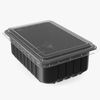3D model Disposable Plastic Food Tray with Lid 21x15cm