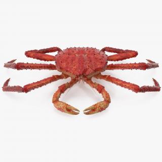 3D Red King Crab model