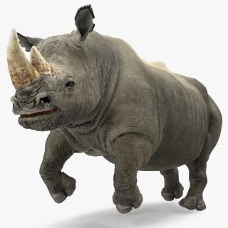 3D Rhino Adult Running Pose Fur model