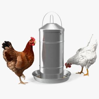 3D Poultry Feeder with Chickens model