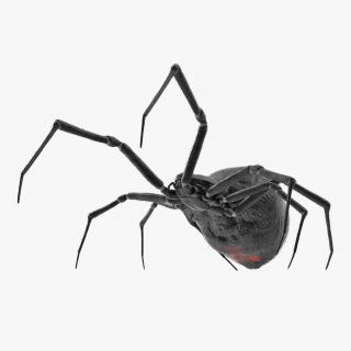 3D model Widow Spider Fighting Pose with Fur