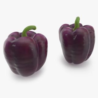3D model Bell Pepper Purple Beauty