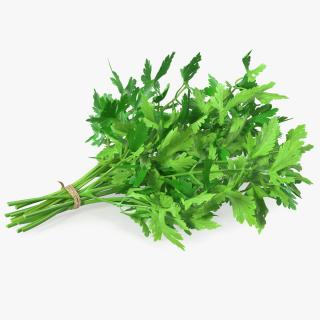 3D Bunch of Parsley