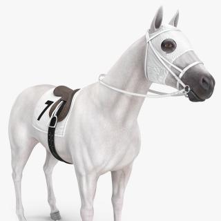 3D model White Racehorse