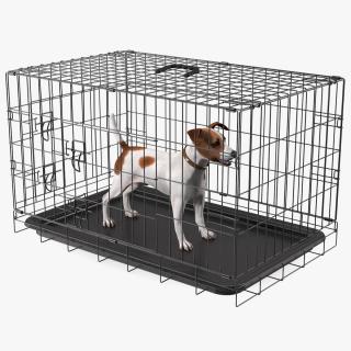 3D model Cage with Jack Russell Terrier