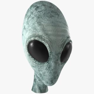Extraterrestrial Alien Head 3D