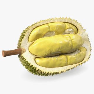 Durian Fresh Cut in Half 3D model