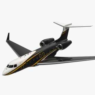 Large Private Jet Flight 3D model