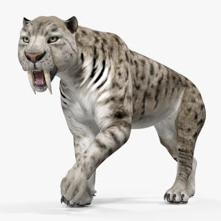 3D model Arctic Saber Tooth Cat Walking Pose