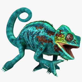 3D Panther Chameleon Rigged for Cinema 4D model