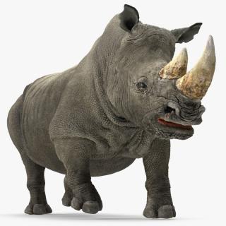 Rhino Rigged 3D