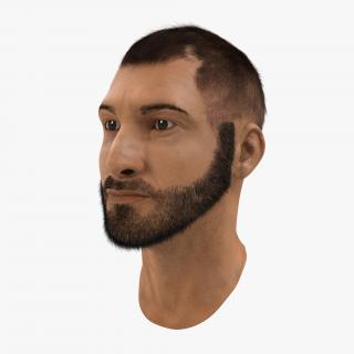 3D model Male Head 7 with Fur