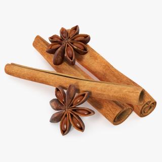 3D model Stick Cinnamon And Star Anise Spice