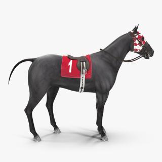 Racehorse Black Rigged 3D