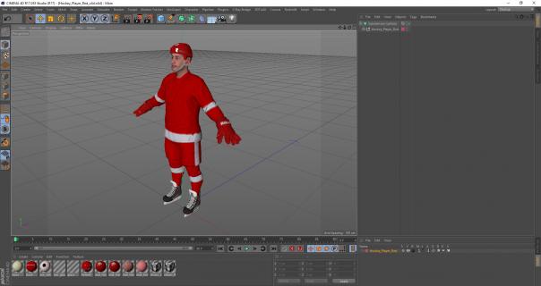 Hockey Player Red 3D