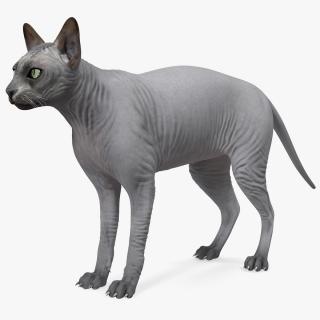 3D Sphynx Cat Solid Color Black model