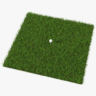 Golf Ball on Lawn 3D