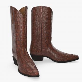 Crocodile Cowboy Boots 3D