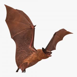 3D model Flying Bat