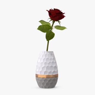 Hexagon Vase with Rose 3D