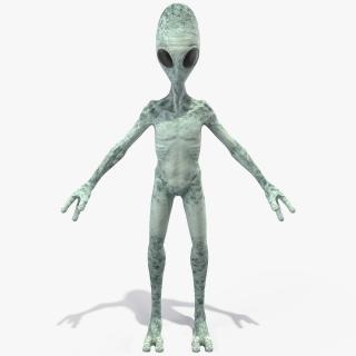 Extraterrestrial Alien T Pose 3D model