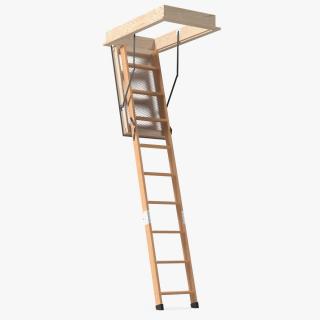 Attic Ladder 3D