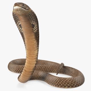 Cobra Beige Skin Alert Pose 3D
