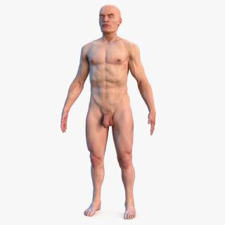 Male Full Body Nude 3D model