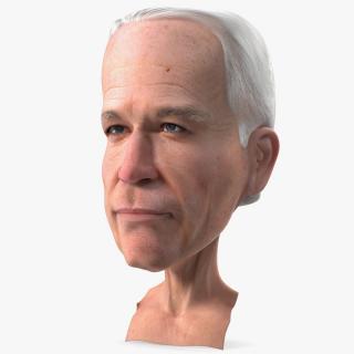 Cartoon Joe Biden Head 3D