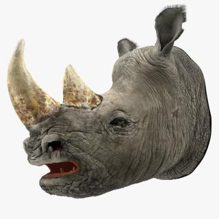 3D model Adult Rhino Head Fur