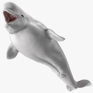 Beluga Whale Young Rigged for Maya 3D model