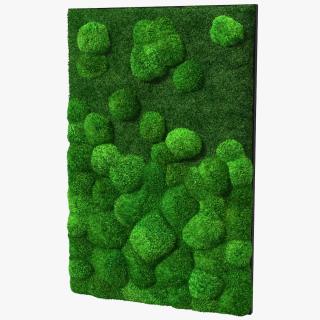 Evergreen Moss Vertical Garden Fur 3D model