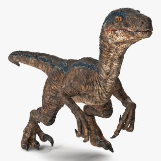 3D model Velociraptor Walking Pose