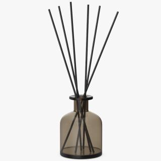 3D Aroma Reed Diffuser Bottle with Sticks model