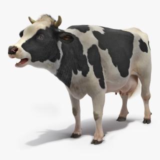 3D Animated Cow Mooing Rigged