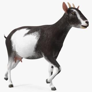 Walking Goat Black-White 3D model