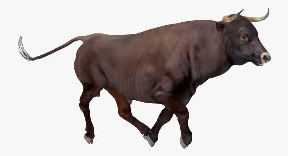 Bull Running Pose 3D