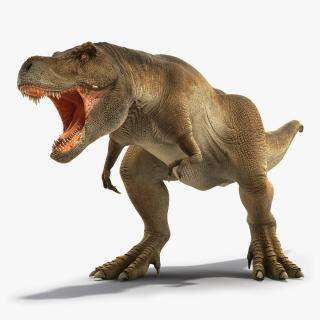 3D Animated Tyrannosaurus Rex Roaring Rigged
