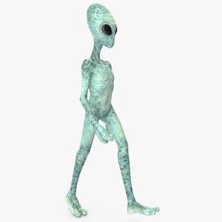 3D model Extraterrestrial Alien Walking Pose