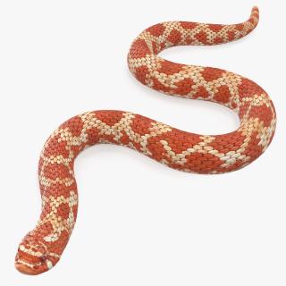 3D Red Hognose Snake Crawling Pose