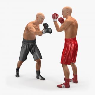 3D model Two Boxers