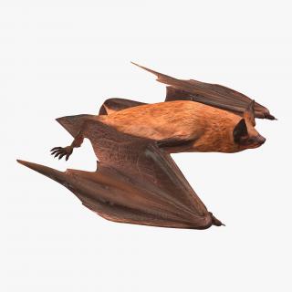 Flying Bat 2 3D
