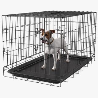 3D Kennel Cage with Jack Russell Terrier Fur