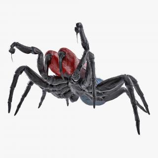3D model Mouse Spider Fighting Pose with Fur