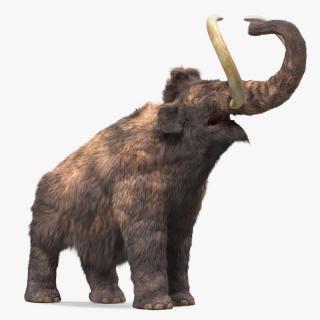 Mammoth Adult Roar Pose Fur 3D