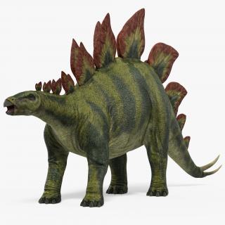 3D Stegosaurus