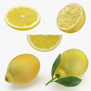 3D Lemon Collection 2 model