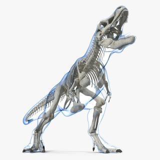 3D model Tyrannosaurus Rex Skeleton with Skin Standing Pose