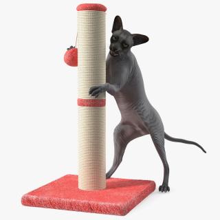 Cat Playing With A Scratching Post 3D model