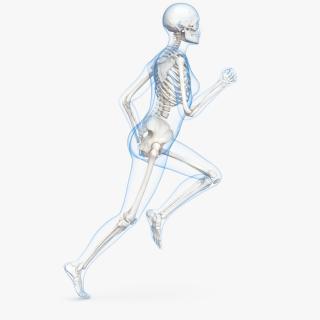 3D Female Body with Skeleton Running Pose model